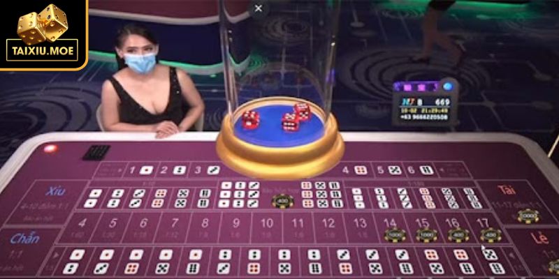 Tài Xỉu Livestream Trải Nghiệm Hấp Dẫn Cơ Hội Thắng Cược Cao 3 Hiểu tường tận luật chơi và các kiểu cược phổ biến